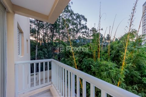 Image 16 - 919116