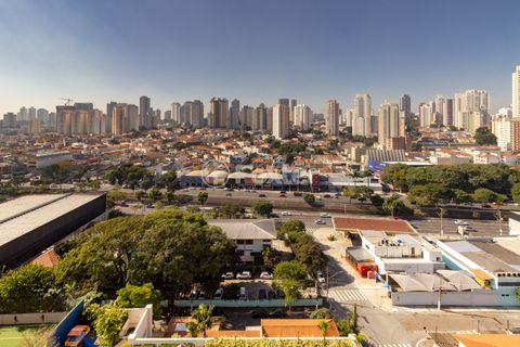 Image 12 - 919212