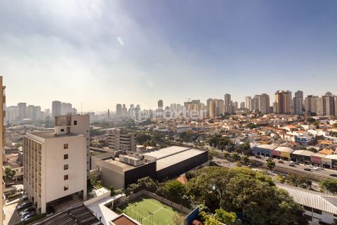 Image 13 - 919212