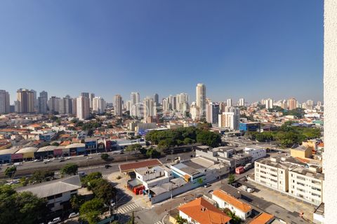 Image 14 - 919212