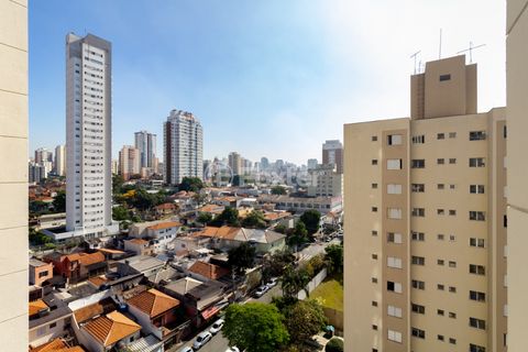 Image 19 - 919212