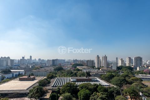 Image 14 - 919220