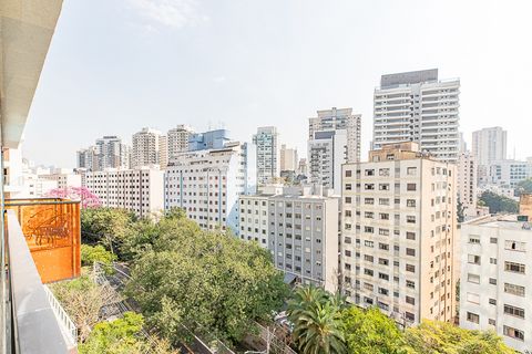 Image 16 - 919258