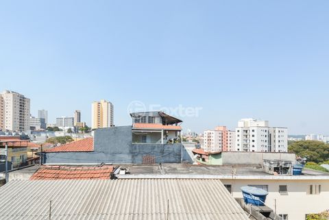 Image 16 - 919259