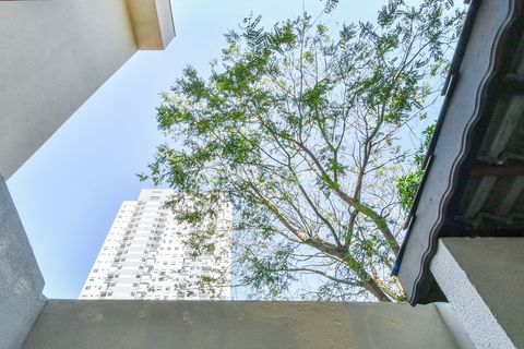 Image 14 - 919261