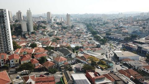 Image 11 - 919343
