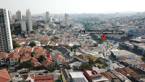 Image 7 - 919343