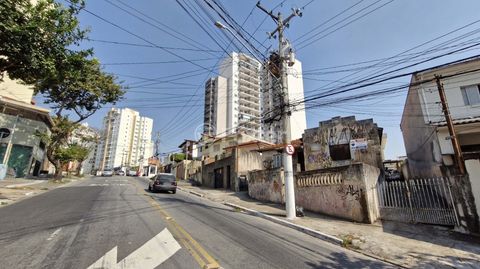 Image 5 - 919343