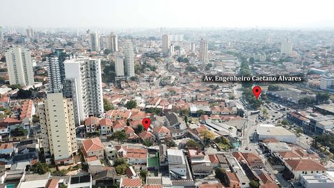 Image 13 - 919343