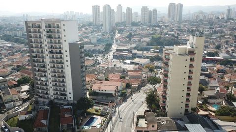 Image 15 - 919343