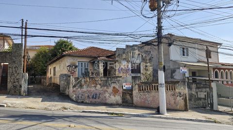 Image 0 - 919343