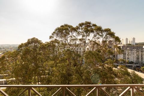 Image 8 - 919354