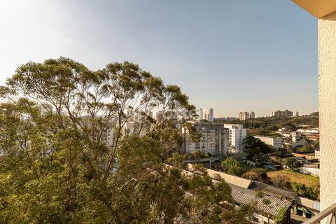 Image 9 - 919354
