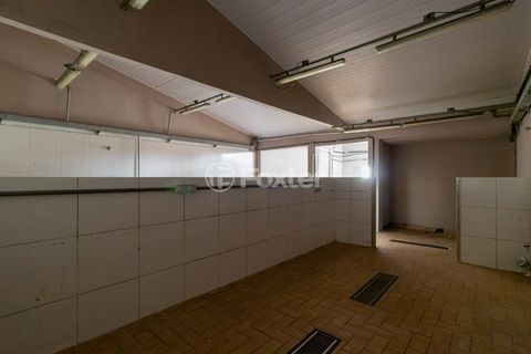 Image 19 - 919371