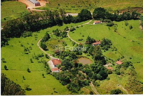 Image 6 - 919423