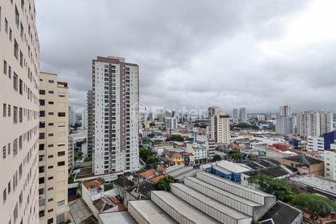 Image 12 - 919451