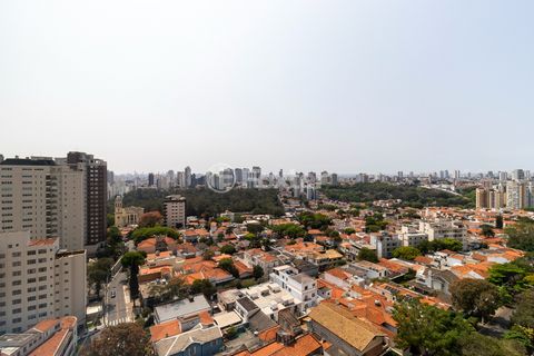 Image 13 - 919532