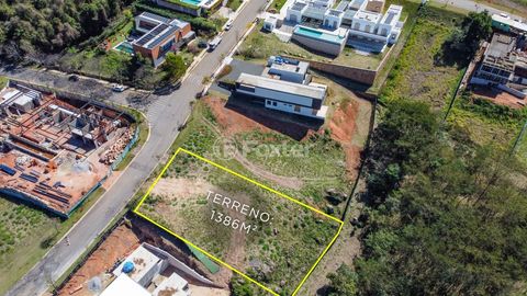 Image 4 - 919535