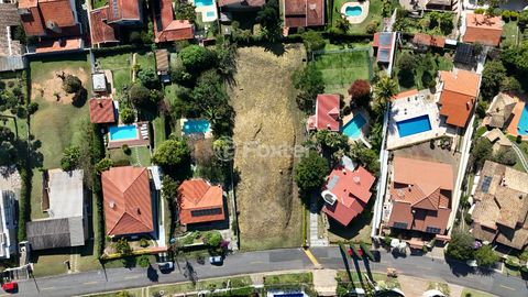 Image 3 - 919564