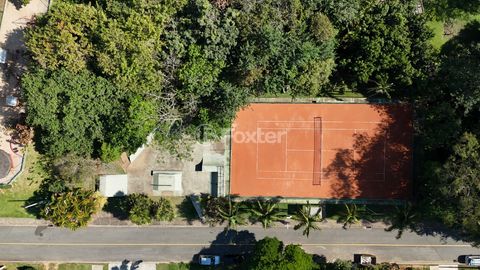Image 8 - 919564
