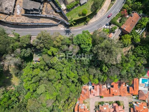 Image 9 - 919605