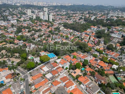 Image 13 - 919605
