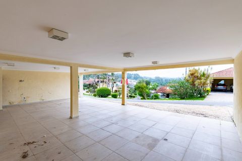 Image 3 - 919613