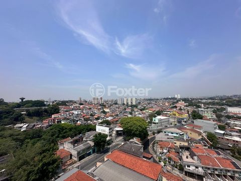 Image 4 - 919619