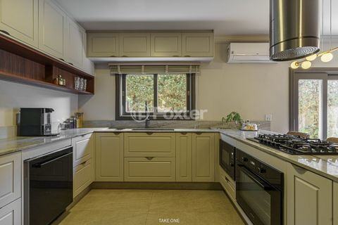 Image 15 - 919629