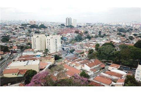 Image 4 - 919678
