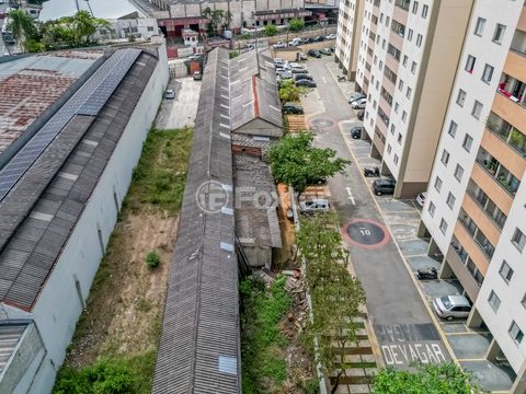 Image 6 - 919718