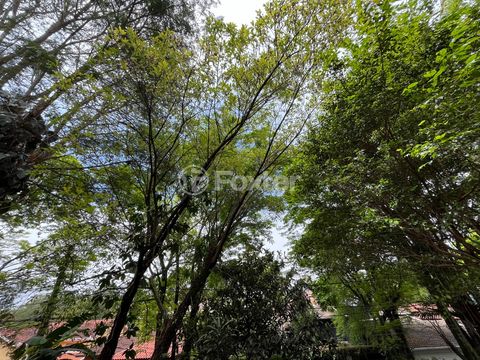 Image 5 - 919743