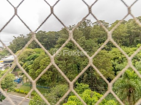 Image 6 - 919773