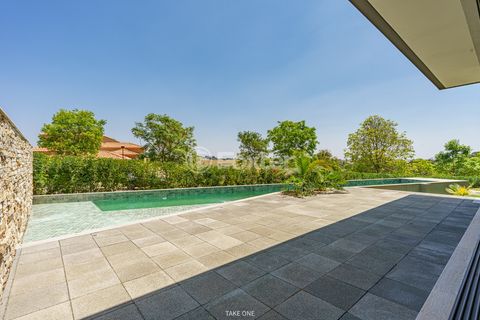 Image 17 - 919822