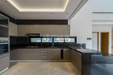 Image 9 - 919823