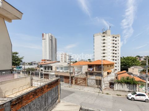 Image 11 - 919852