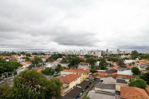 Image 5 - 919883