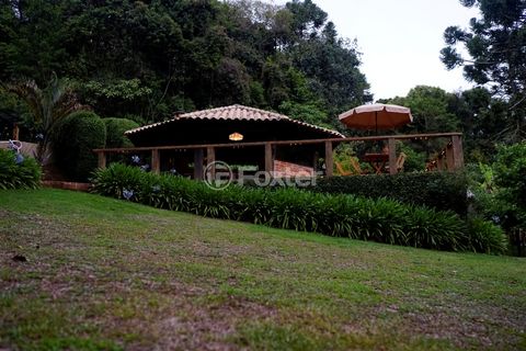 Image 3 - 919915