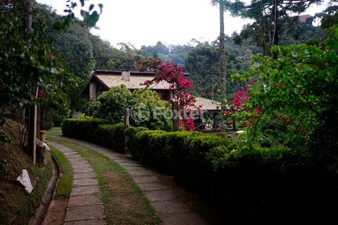 Image 6 - 919915