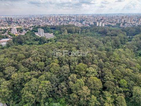 Image 6 - 919919