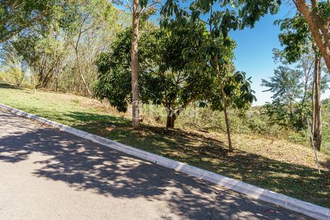 Image 13 - 919966