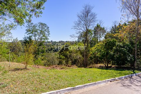 Image 12 - 919966