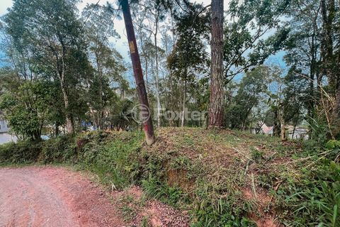 Image 4 - 920114