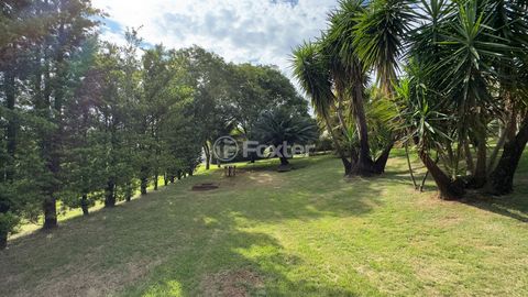 Image 4 - 920196