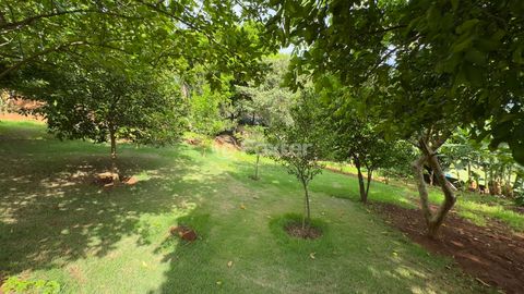 Image 5 - 920196