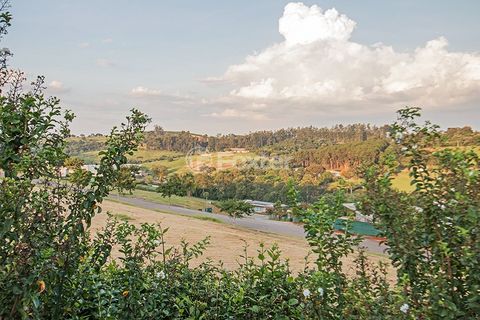 Image 6 - 920261