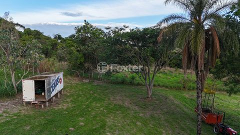 Image 9 - 920453