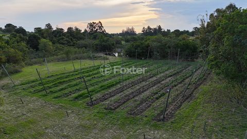 Image 6 - 920453