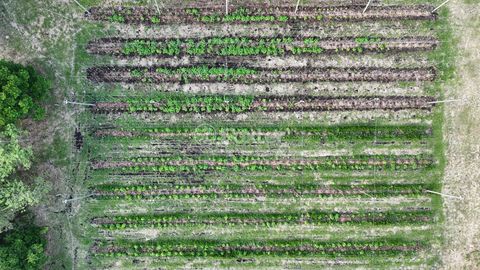 Image 10 - 920453