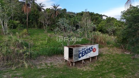 Image 8 - 920453